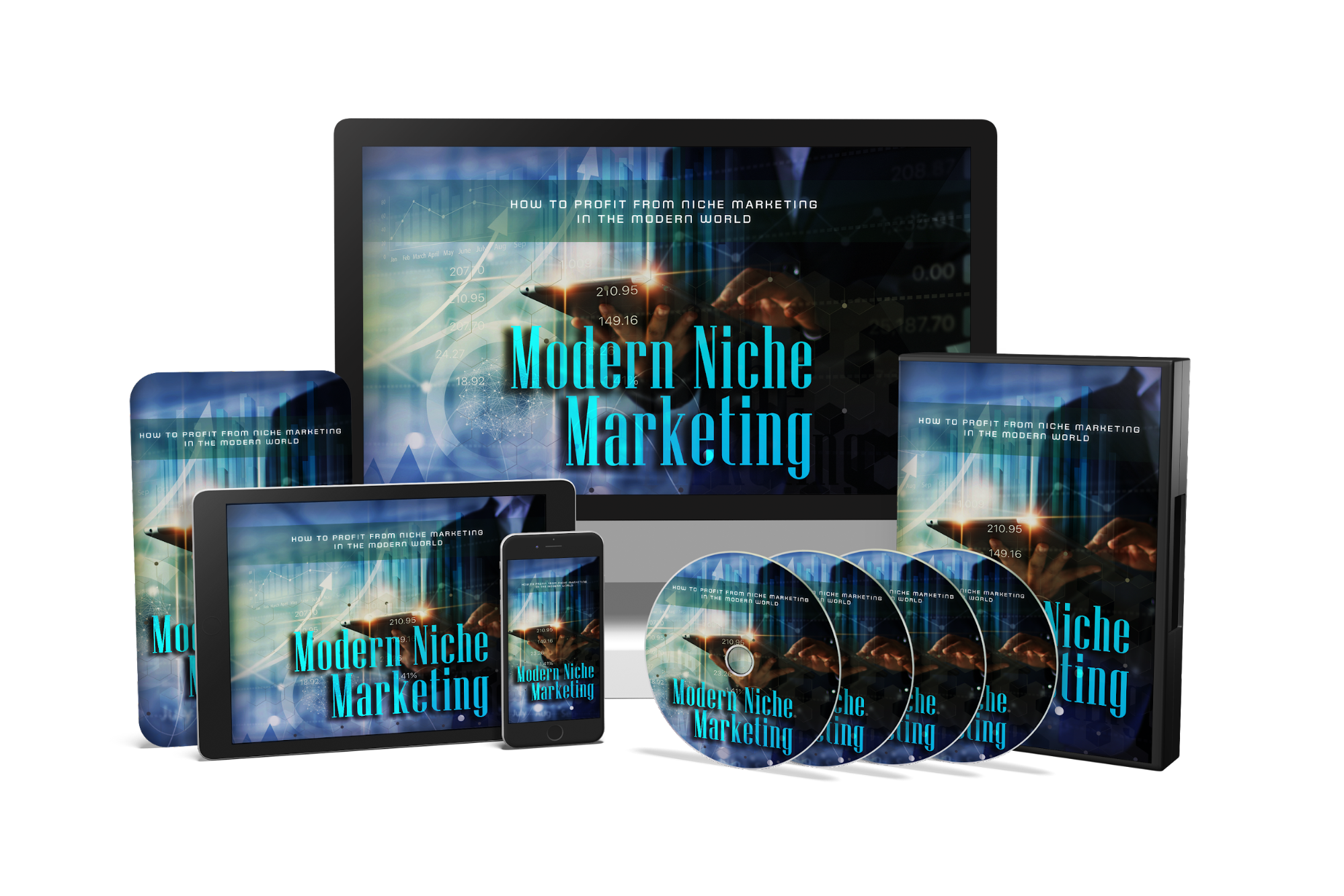 How To Profit From Niche Marketing In The Modern World – Video Course