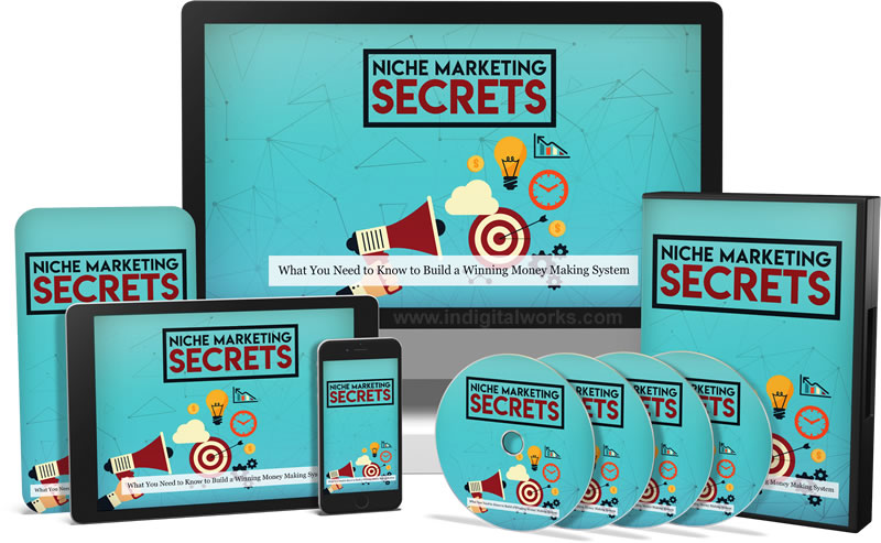 Niche Marketing Secrets Video Training